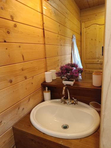une salle de bain avec un lavabo dans une cabane en rondins dans l'établissement La roulotte la tribu deschpouss, à Saint-Christophe-en-Boucherie