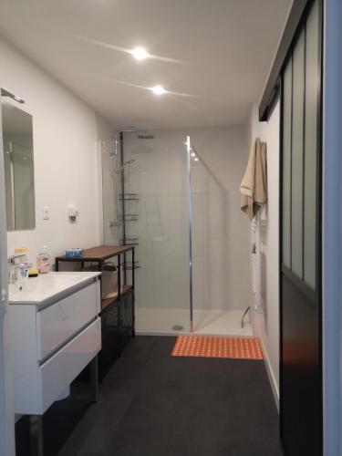 une salle de bain avec une douche, un lavabo et un miroir dans l'établissement Appartement au cœur des Calanques, à Marseille