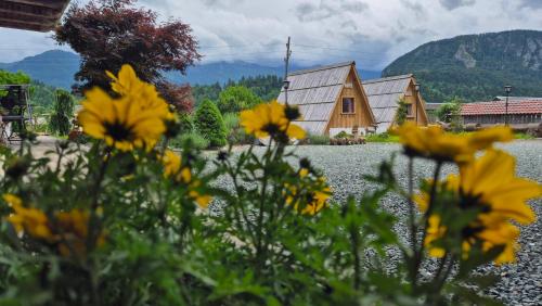 Splošen pogled na gorovje oz. razgled na gore, ki ga ponuja kampi