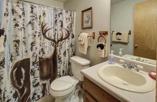 a bathroom with a toilet and a sink and a shower curtain at Bear Retreat in Sevierville