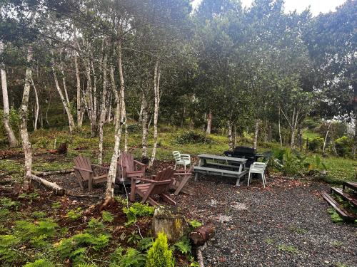 a group of chairs and a grill in the woods at Tiny House Minimalista en la Naturaleza, El Retiro in El Retiro