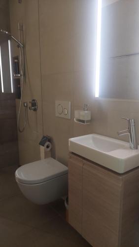 a bathroom with a sink and a toilet and a mirror at Private room Lake View in Biel