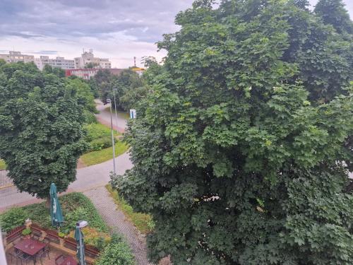 an overhead view of a large tree next to a street at Slunný byt v Praze Letňanech in Prague