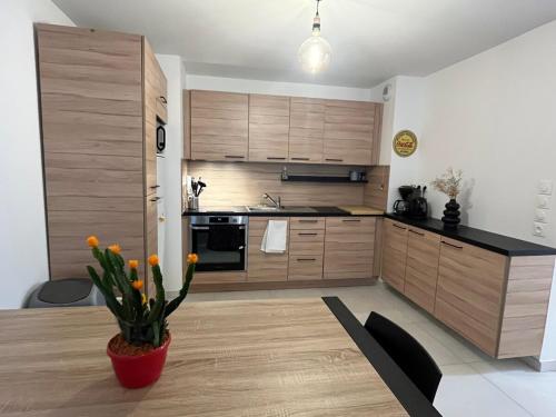 une cuisine avec des placards en bois et une table avec une plante dans l'établissement Briançon au pied des pistes, à Briançon