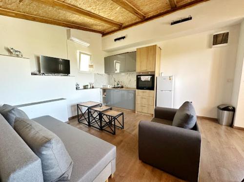 a living room with a couch and a kitchen at Luxurious attic apartment with a breathtaking view in Vranjina