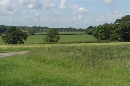 a field of green grass with trees in the background at Handley Barn in Silverstone