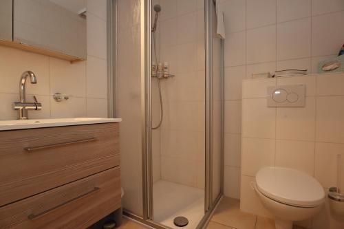 a bathroom with a shower and a toilet and a sink at Ferienwohnung Schwarzwald Oase - Todtmoos - Mein Schwarzwaldhäusle in Todtmoos
