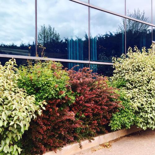 a row of bushes in front of a glass building at Hotel Restaurante El Valles 4 ESTRELLAS in Briviesca