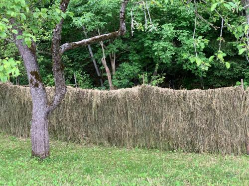 a hay wall with a tree in a field at HOAMAT fürs HERZ, Das kleine Herz in Gröbming
