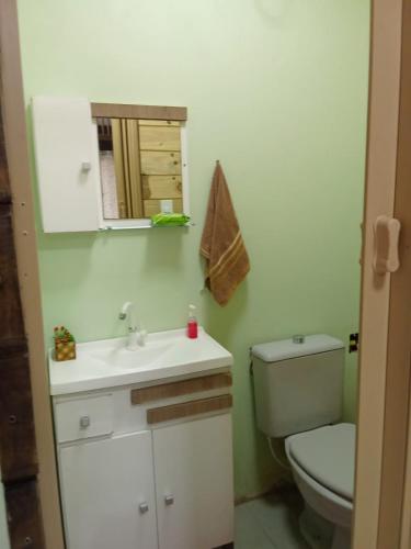 a bathroom with a toilet and a sink and a mirror at Hospedagem Ribeiro in Urubici