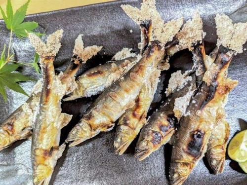 a group of fish sitting on a table at 御宿Fuku in Kannoura