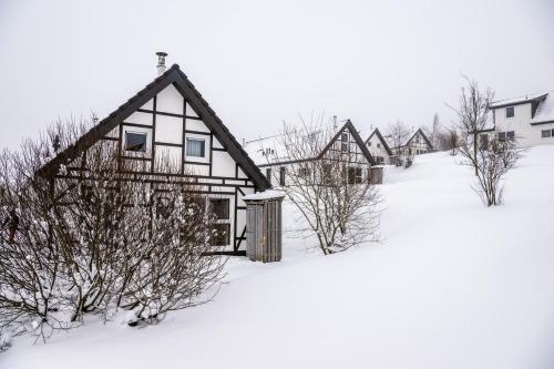 Billede fra billedgalleriet på Landal Winterberg i Winterberg
