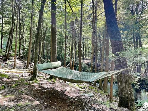 a hammock in the middle of a forest at Koi at the Lake in Oakland