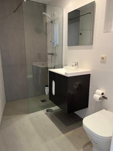 a bathroom with a shower and a sink and a toilet at Ático dúplex en Playa Fossa Calpe in Calpe