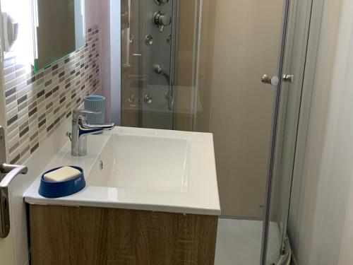 ein Badezimmer mit einem weißen Waschbecken und einer Dusche in der Unterkunft Séjour paisible dans la campagne de Mont-l'Étroit, proche de sites historiques - FR-1-584-381 in Mont-lʼÉtroit