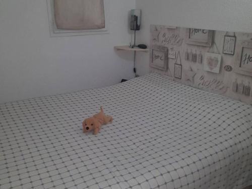 - un chien brun dormant sur un lit dans une chambre dans l'établissement Appartement 2P avec Clim, Terrasse et Parking, Le Barcarès - FR-1-782-76, au Barcarès