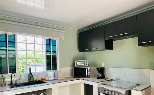a kitchen with green walls and black cabinets at Cerca de todo en La Union in La Unión
