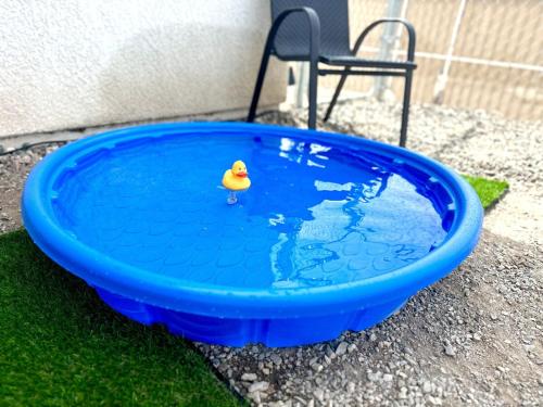 a toy rubber duck sitting in a pool of water at Lake View, Themed Rooms, King Beds, Fire Pit in Lake Havasu City