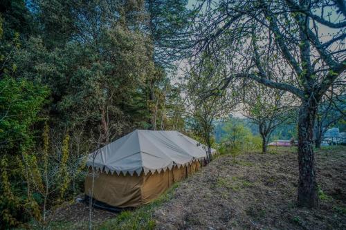 Příroda nedaleko luxury tent