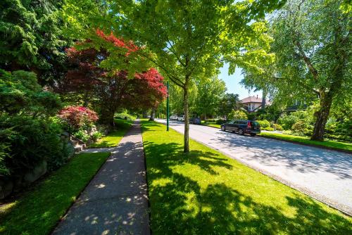 a tree lined street with a car parked on the road at Cozy four bedroom House in Vancouver West in Vancouver