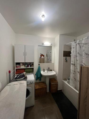 une salle de bain avec un lavabo et une machine à laver dans l'établissement Entire Simple, cozy family apartment, à Thorigny-sur-Marne