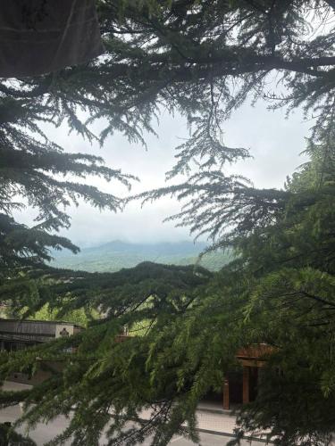 a view of a valley through the branches of trees at Cozy corner Dilijan in Dilijan
