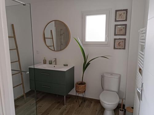 une salle de bain avec un lavabo, des toilettes et un miroir dans l'établissement les galets de Normandie, à Biville-sur-Mer