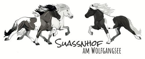 two drawings of a galloping horse with the wordsassurance aninosaurus at Reiterhof Suassbauer in St. Wolfgang