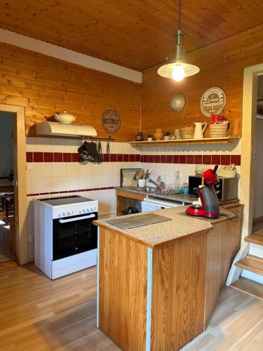 a kitchen with a stove and a counter top at La clé de la forêt in Métairies-Saint-Quirin