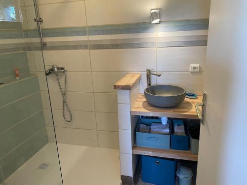 une salle de bain avec un lavabo et une douche dans l'établissement Petite maisonnette dans les près, à Villerest