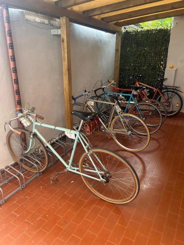 Attività di ciclismo presso l'hotel o nelle vicinanze
