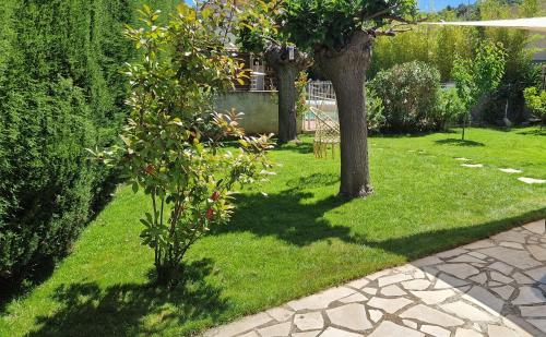 un jardin avec un arbre et une pelouse verte dans l'établissement Maison de vacances les pins clim piscine chauffée, à Six-Fours-les-Plages