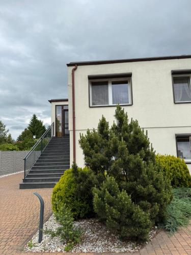 a house with stairs and a pine tree in front of it at Gospodarstwo Gościnne Joanna Tadeusz Pietras in Krzyszkowo
