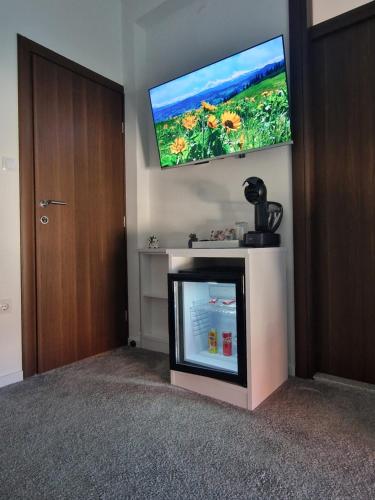 TV a/nebo společenská místnost v ubytování Apartments Miš