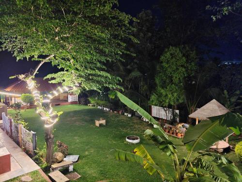 a garden at night with lights on the grass at The Palmyrah Tenements in Mysore