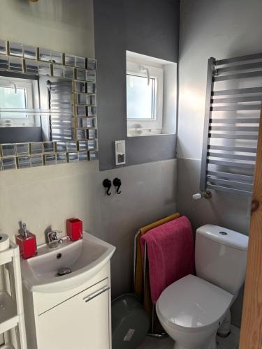 a bathroom with a white toilet and a sink at Chata Leśna in Zagnańsk Siodła