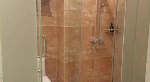a shower stall with a glass door with a shower at GreenTree Alliance Anhui Hefei South Passenger Station South High Speed Railway Station Hotel in Hefei