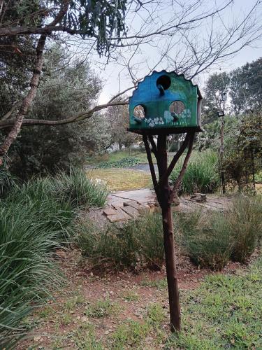 a blue bird house sitting on top of a tree at African Silhouette Guesthouse in Benoni