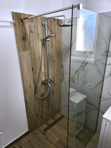 a shower with a glass door in a bathroom at N&D Arinis Studio in Gura Humorului
