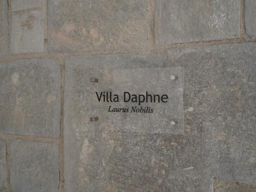 Foto dalla galleria di Avli Luxury Villas a Karpathos
