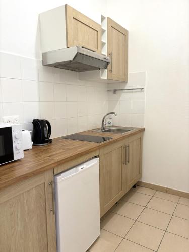 Il comprend une petite cuisine équipée d'un évier et d'un lave-vaisselle. dans l'établissement Villa Médicis Besançon, à Besançon