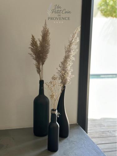 three vases sitting on a table with plants in them at Un Petit Coin de Provence - Istres - Maison Contemporaine Avec Piscine Privée Chauffée, Entre Plages Et Provence, Borne 11 kW in Istres