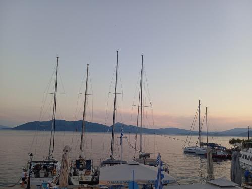 a group of boats docked at a dock in the water at Selana και Ielios Trikerisuites in Tríkeri
