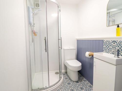 a bathroom with a shower and a toilet and a sink at Upper Dolarddyn in Welshpool