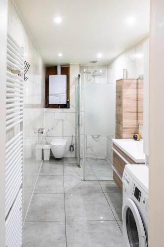 a bathroom with a toilet sink and a washing machine at Unique Parking access, XL home w Parking option in Antwerp