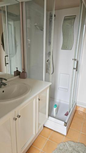 une salle de bain blanche avec un lavabo et une douche dans l'établissement maison des champs, à Moyaux