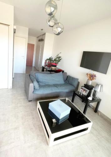 un salon avec un canapé et une table dans l'établissement Vue citadelle avec wifi et climatisation, à Calvi