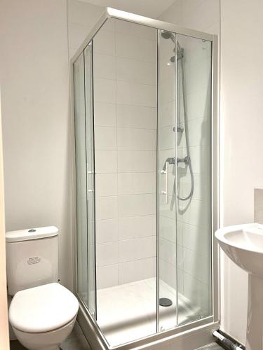 une salle de bain avec une douche avec des toilettes et un lavabo dans l'établissement M10 Marquer joli cocon proche de la gare, à Annemasse