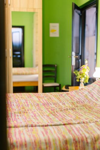 a bedroom with a bed and a green wall at Pensiunea Tania-Nora in Alexandru cel Bun 