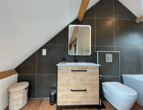 a bathroom with a sink and a toilet at Loustalot in Aydius